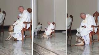 Perro interrumpe la misa y reacción del sacerdote se viraliza | VIDEO