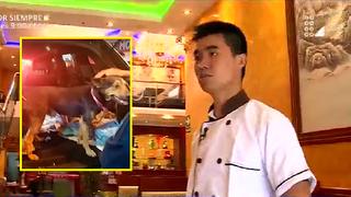 Dueño de Chifa pide que "por favor le devuelvan a su mascota" (VIDEO)