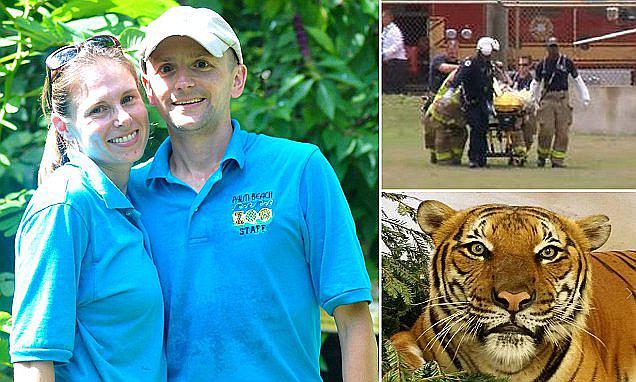 Muere empleada de zoo al ser atacada por tigre al que obligaban a “actuar”