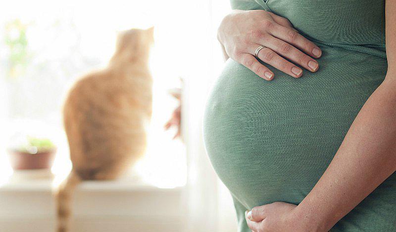 ¿Es malo sacarse muchas ecografías durante el embarazo?