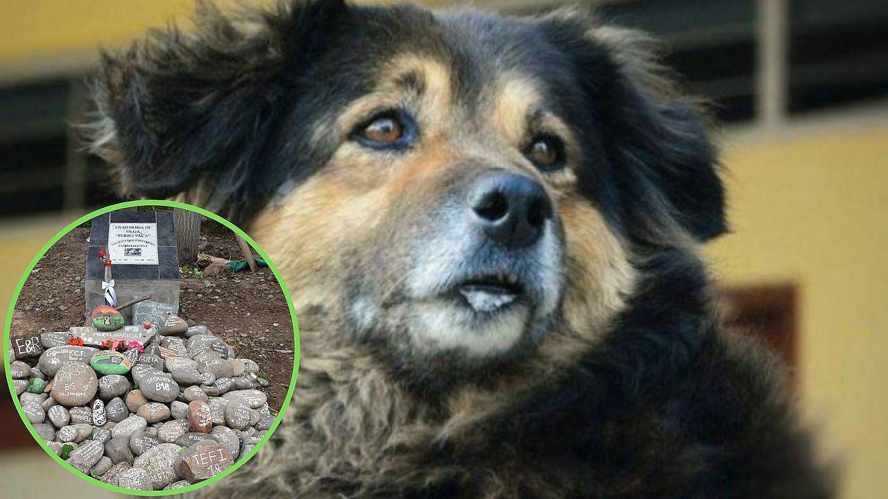 Construyen lápida en memoria de "Perrovaca" en la Universidad San Marcos | FOTOS