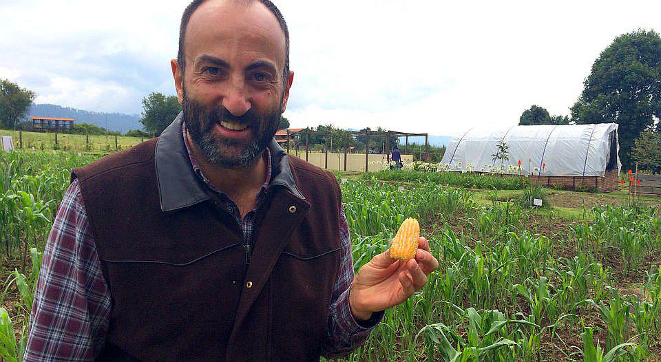 Alarma mundial: Palomitas originales están en peligro de extinción