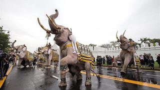 Formación de elefantes presenta sus respetos al difundo rey de Tailandia 