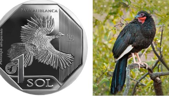 La moneda hace alusión a la pava avilbanca. (Imagen: BCR)