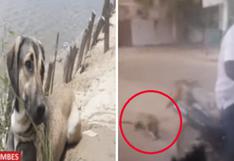 Sujeto arrastra a su perro con su motocicleta en Tumbes | VIDEO