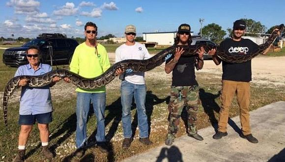 ​Tremenda serpiente de 5,4 metros de largo mete miedo a pobladores
