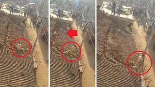 Guardabosques salta al vacío para esquivar ataque de un tigre (VIDEO)