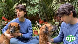 Bruno Pinasco denuncia a paseador de perros por maltrato animal: “Tengan cuidado” 