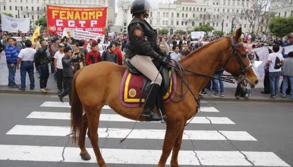 Piden dejar de usar caballos policiales en eventos sociales y deportivos.