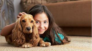 Cinco mascotas que puedes considerar tener en casa