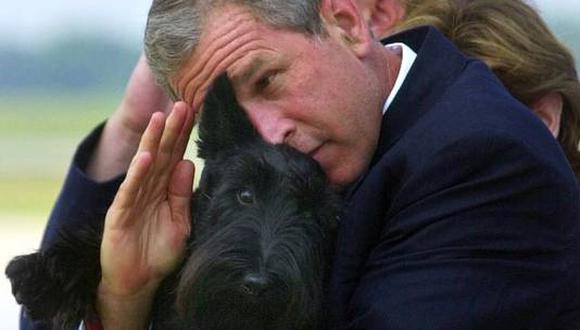 De cáncer murió el perro del expresidente de EE.UU. George W. Bush
