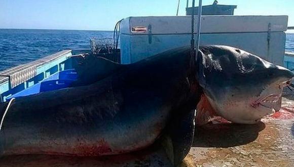 Un gran tiburón cae sobre la cubierta de barco pesquero y causa pánico