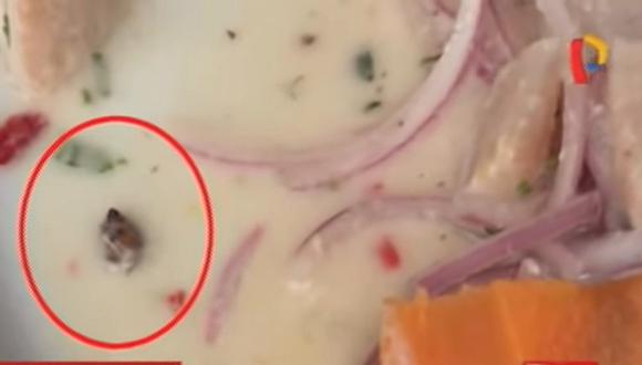 ​Comensal encuentra insecto en ceviche de conocido restaurante (VIDEO)