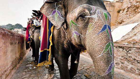 India: gurús entran a la política por afrenta al dios elefante