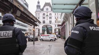 Policía de Viena descubre obras de arte robadas por valor de 1,3 millones en casa del ratero