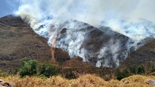 Menor de 11 años acude a sofocar incendio forestal y muere en Cusco