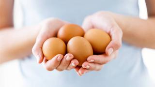 Comer para vivir: ¿Qué es un huevo fresco?