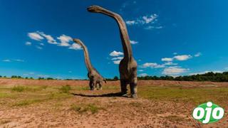 Descubren en Argentina al dinosaurio más grande del mundo | FOTOS