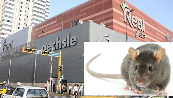 Cercado de Lima: usuarios en shock al ver a roedor en Real Plaza (VIDEO)