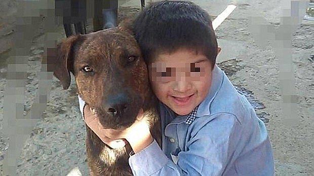 Perro guía de niño con síndrome de down muere envenenado