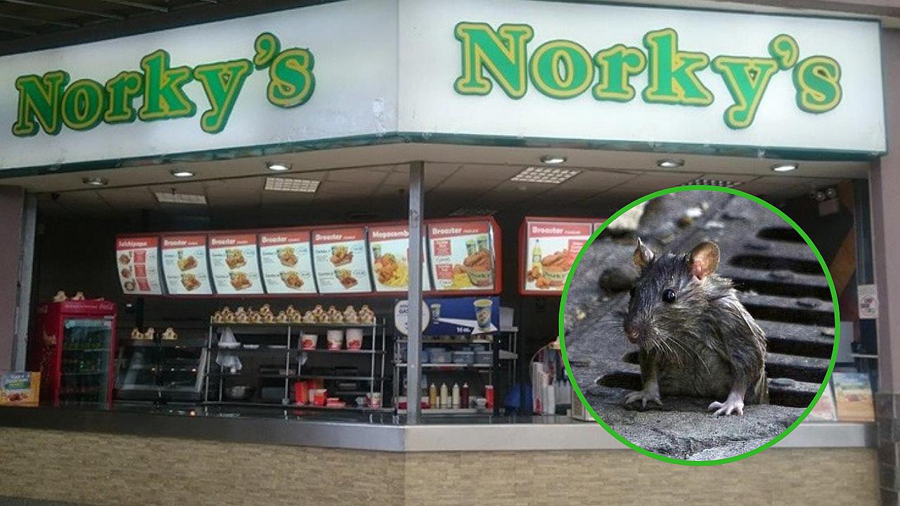 Encuentran excremento de rata en pollería de conocido mall de Trujillo