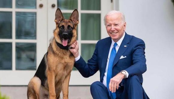 Joe Biden ama a su perro mordedor Commander, un pastor alemán.