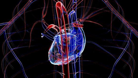 Diseñan dispositivo robótico para ayudar al corazón a bombear sangre 