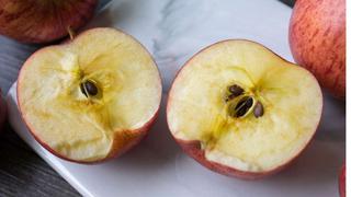 Sara Abu Sabbah: ¿La fruta oxidada es más nutritiva?