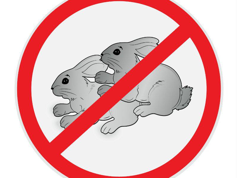 ¿Cuál es la posición sexual más peligrosa para ellos?