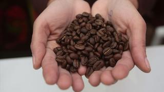Café y cacao peruanos ganan premios internacionales en Francia e Italia