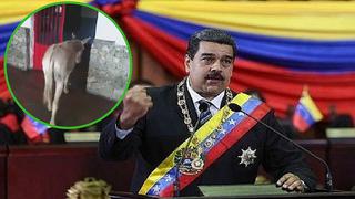 Detienen a dos bomberos venezolanos por comparar a Nicolás Maduro con un burro
