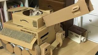 Gatos van a la “guerra” en tanques de cartón y conquistan a gente en redes sociales