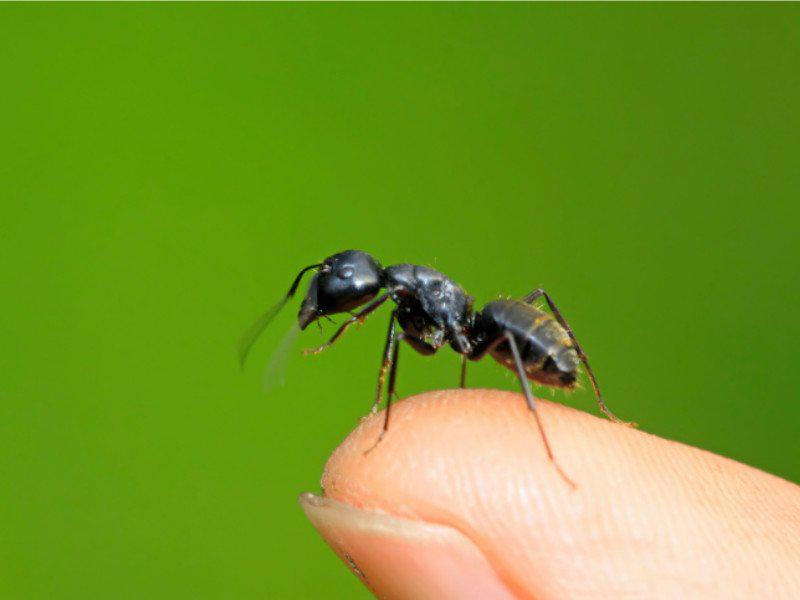 Cuando el sexo se vuelve muy extraño