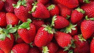 Comer para vivir: ¿Cómo se contaminan las fresas?