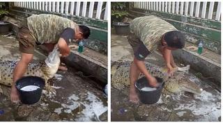 Hombre bañando a cocodrilo se viraliza en las redes sociales (VIDEO)