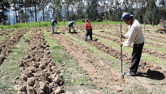 Apoyar a los pequeños productores agrarios en la adquisición de fertilizantes. (Foto: Andina)