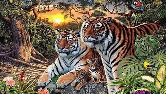​Facebook: ¿Cuántos tigres ves en la imagen? El último reto visual