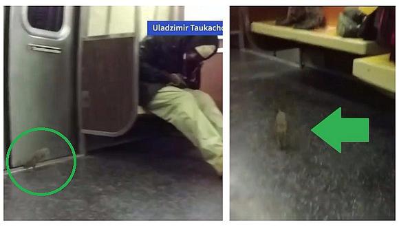 ​YouTube: enorme rata sorprende y hace gritar a pasajeros en vagón de tren (VIDEO)