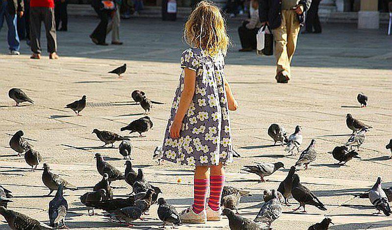 ¿Qué enfermedades nos contagian las palomas? ¡Toma nota!