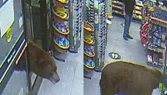 Un video viral muestra las inesperadas visitas de osos a dos establecimientos en California. | Crédito: CBS Miami / YouTube.