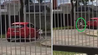 ​Madre abandona a su hija de 5 años en la calle y todo queda registrado en vídeo