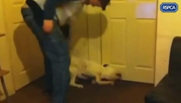 Hombre se ríe mientras golpea salvajemente a perrito [VIDEO] 