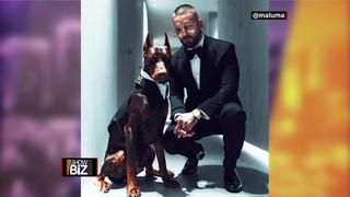 Maluma pide ser adoptado junto a su perro, ambos muy elegantes, y famosas se ofrecen | VIDEO