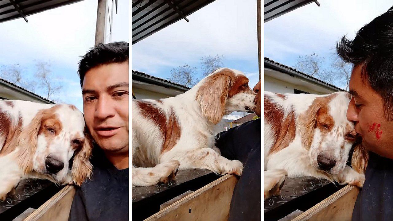 Perrito se pone triste por no ser adoptado, pero video logra conmover a una persona