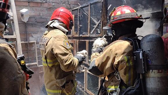 Bomberos y serenos rescataron a conejos tras un incendio en el cuarto piso de una vivienda en Surco. (Foto: Municipalidad de Surco)