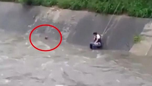 Perrito se salva de morir ahogado: logró ser rescatado a tiempo (VIDEO)