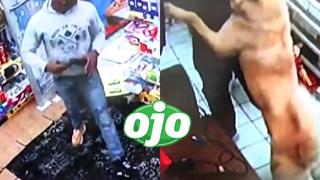 Perro protege a dueño de tienda y su trabajadora al frustrar robo a mano armada en tienda