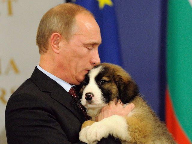 Vladimir Putin quiere que lo ayuden a elegir el nombre de su nueva mascota 