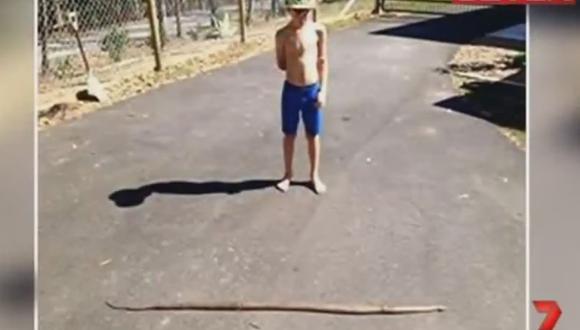 Perro se enfrenta a serpiente para proteger a tres niños [VIDEO] 
