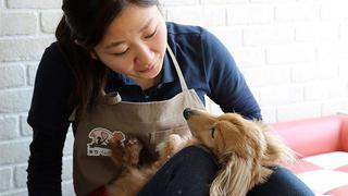 ​Residencias para mascotas son la voz ante vejez y enfermedad de animalitos (VIDEO)